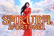 Sakura Fortune